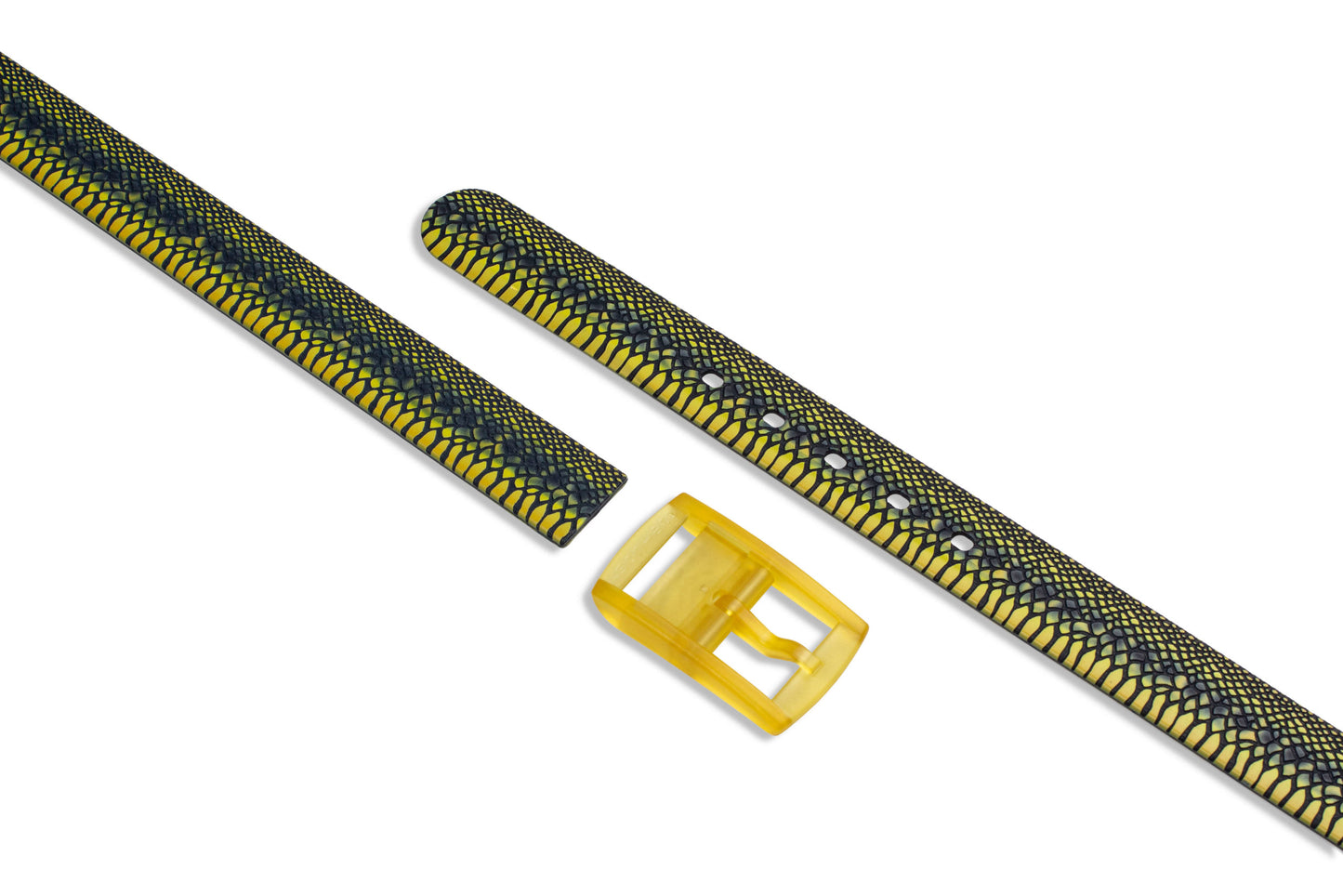 BASIC REPTILE 3D BELT