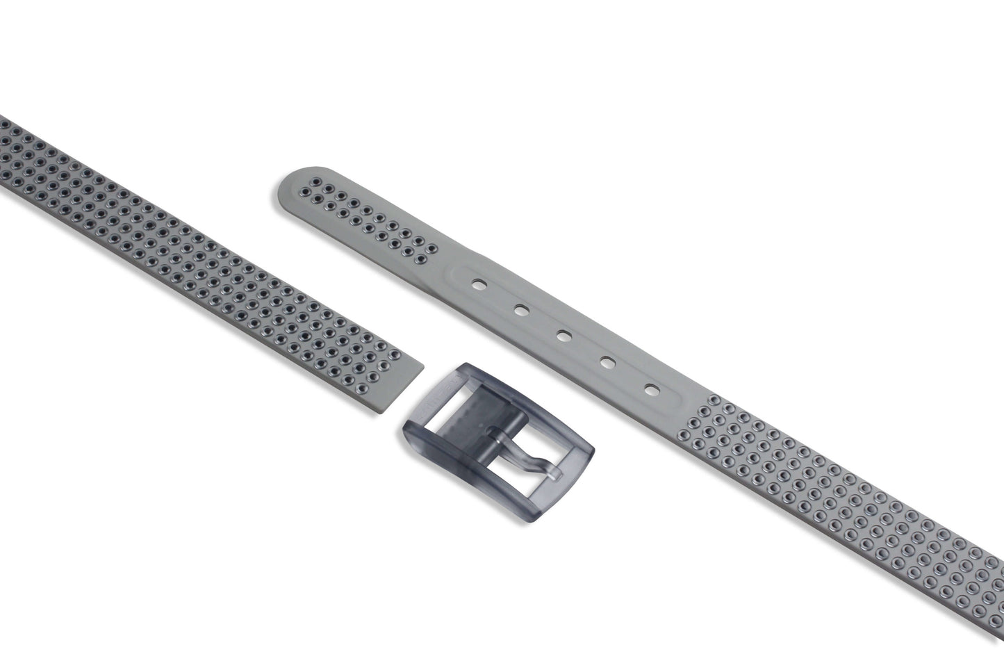 STUDS BELT