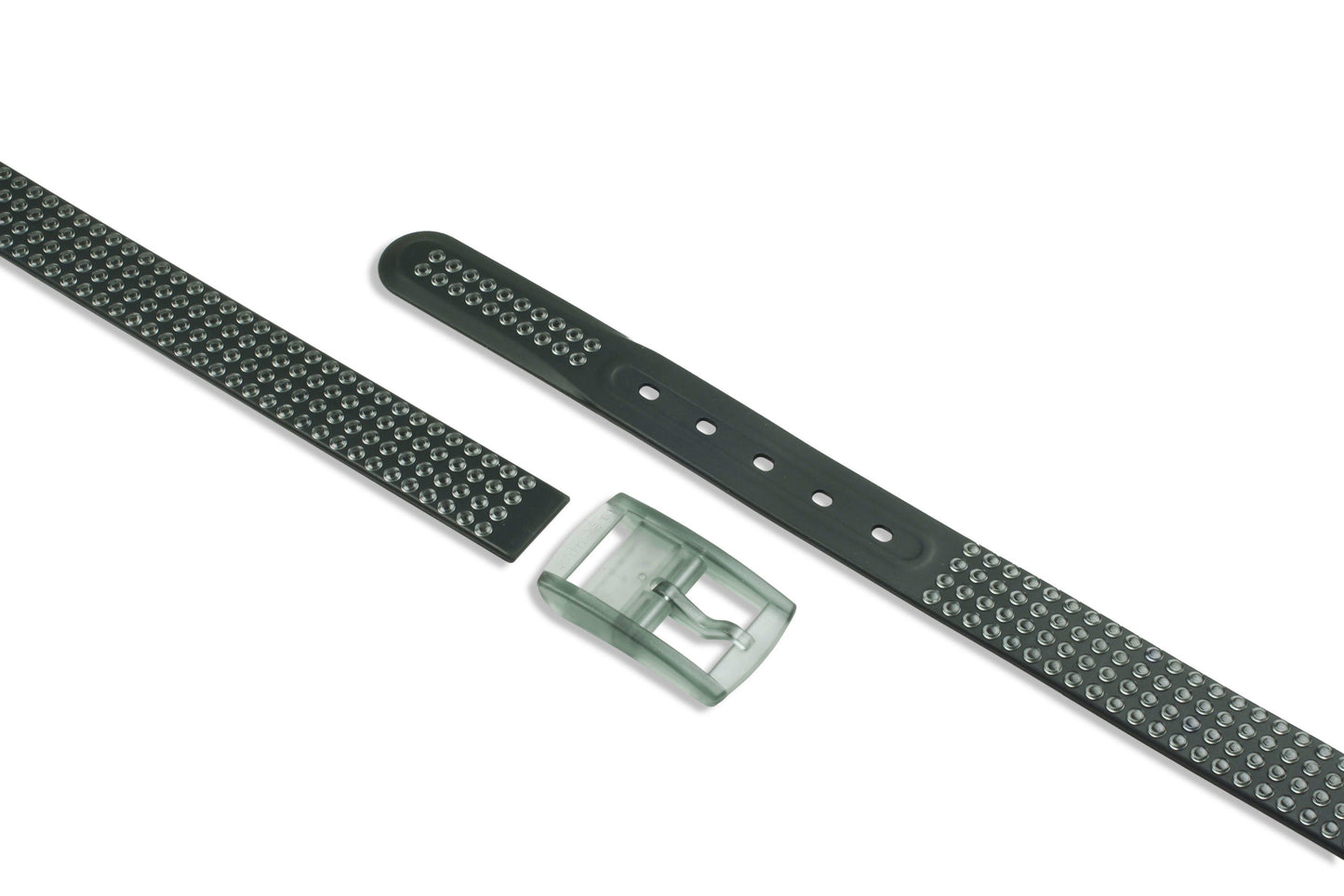 STUDS BELT