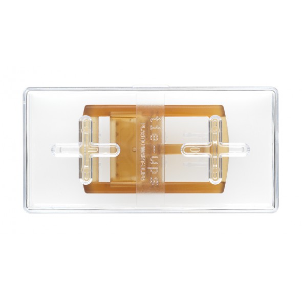 BASIC BUCKLE GRANVIA YELLOW