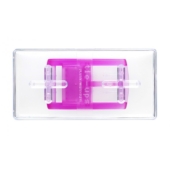 BASIC BUCKLE PINKNEON