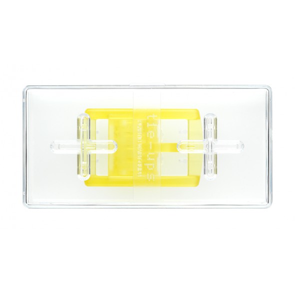 KIDS BUCKLE SUNNY DAY