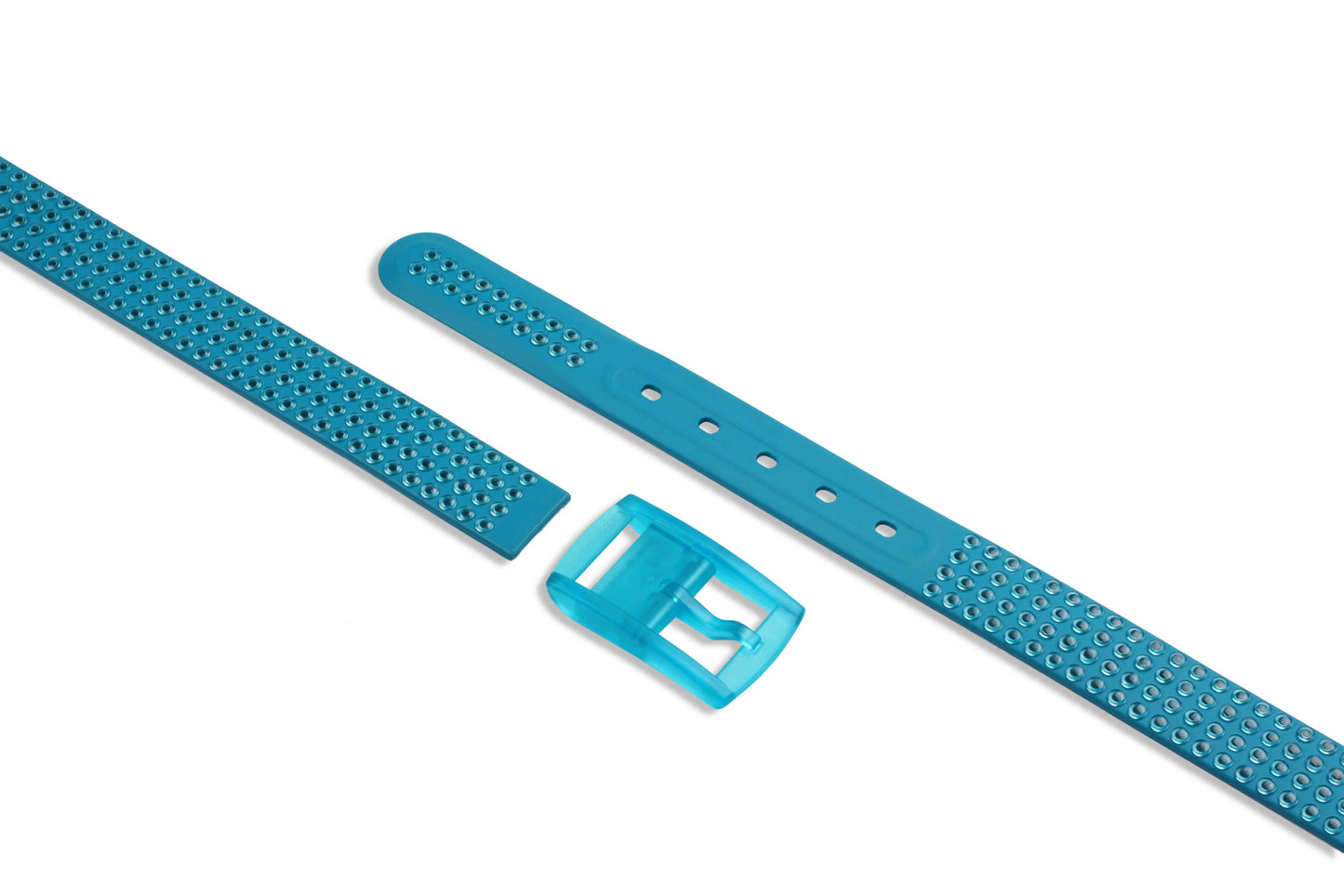 STUDS BELT